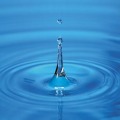 Čínský horoskop - živel voda